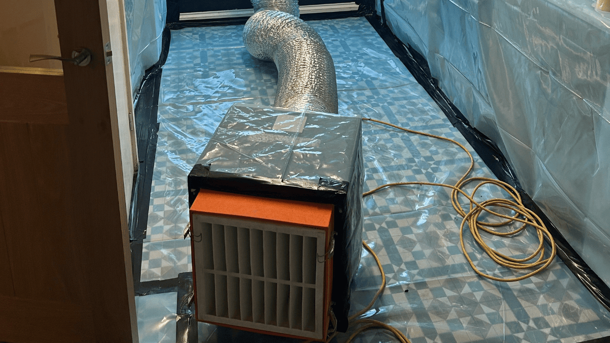 Untitled Design 34 - Mould Removal and Damp Proofing